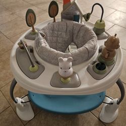 Baby Activity Center