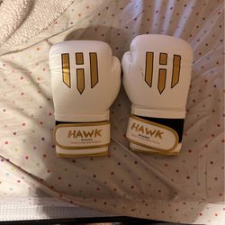 HAWK boxing gloves 14.oz