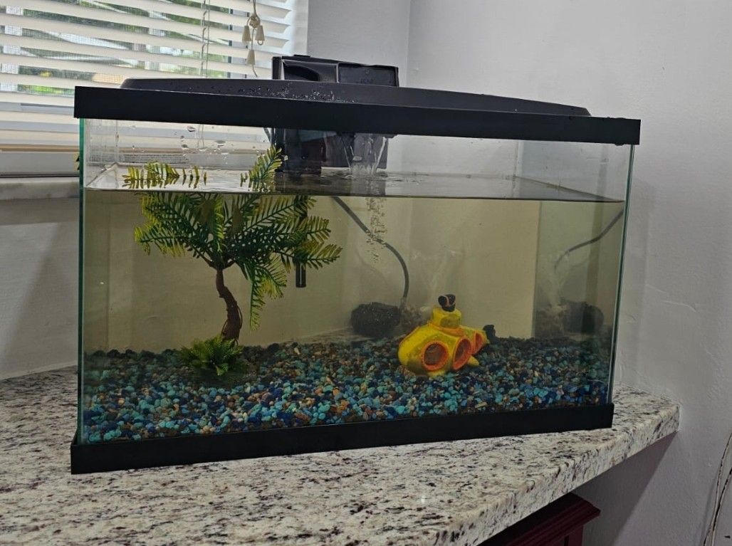 10 Gallon Aquarium with Contents