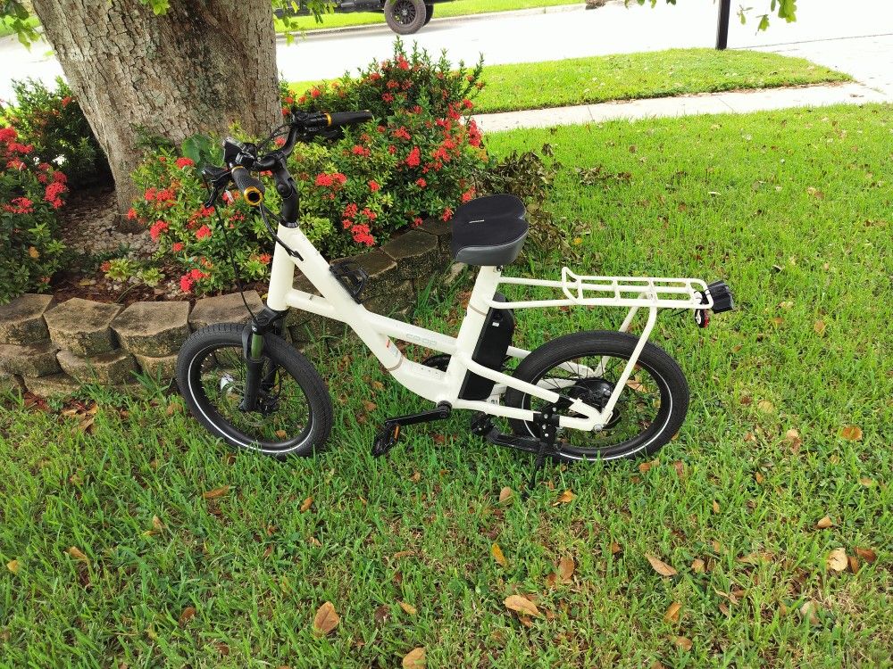Rei Coop 2.1 Electric Bike