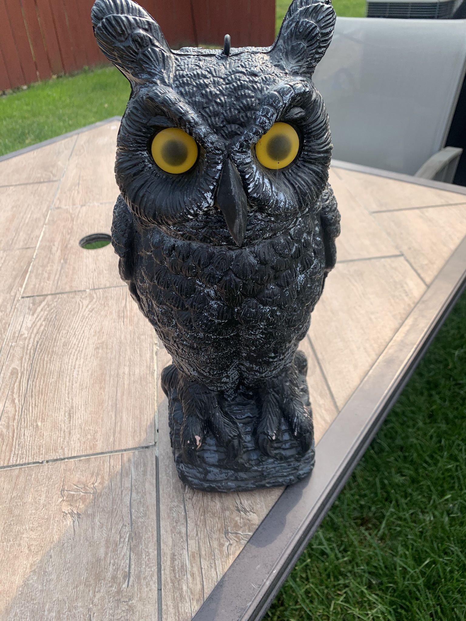 Owl Yard Decoration