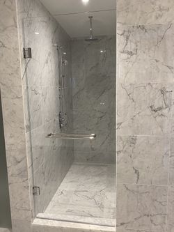 Shower door