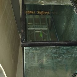 80 Gallon Visio Fish Tank And Stand 