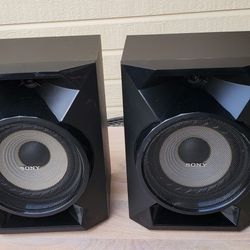 Sony Bluetooth Wireless Speaker System. 2 speakers. Plus Bluetooth Receiver And Power Adapter.