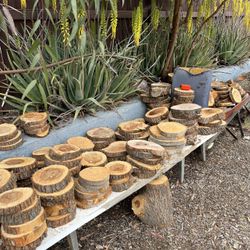 Wood Slices Platos 