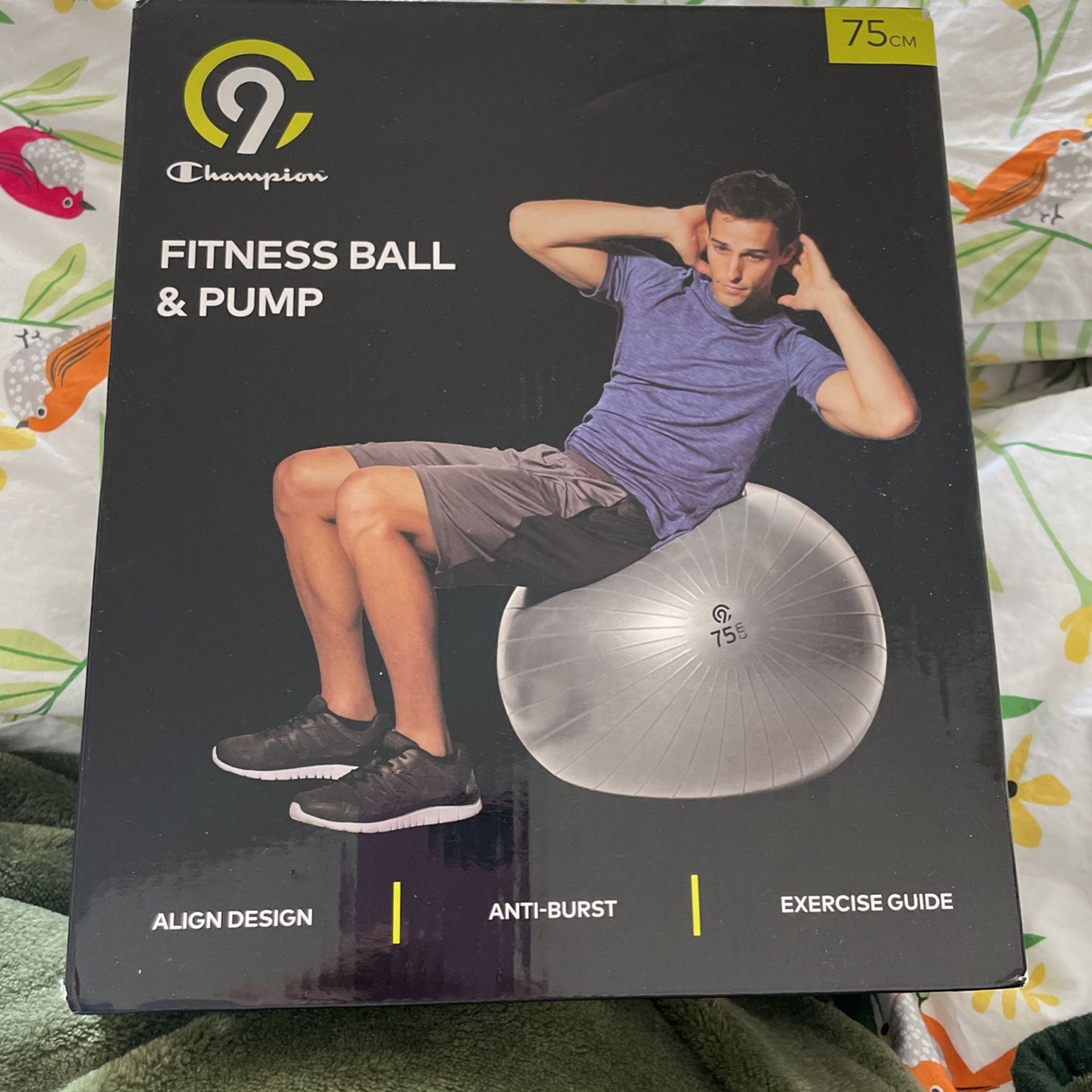 Fitness Ball & Pump