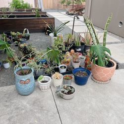 Plants!!!