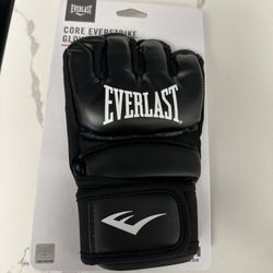 Everlast Gloves 