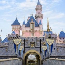 Disneyland Ticket