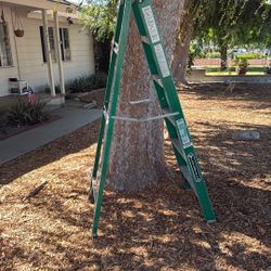 Fiberglass Ladder