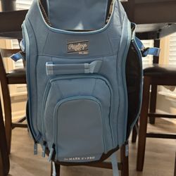Rawlings Baseball/softball Bag