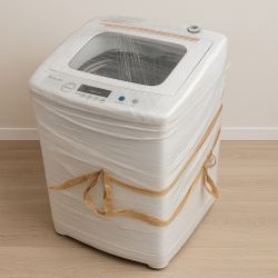Portable Washer