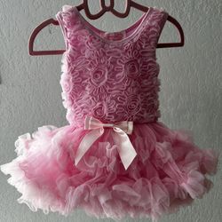 Beautiful Pink Rose Onesie Dress