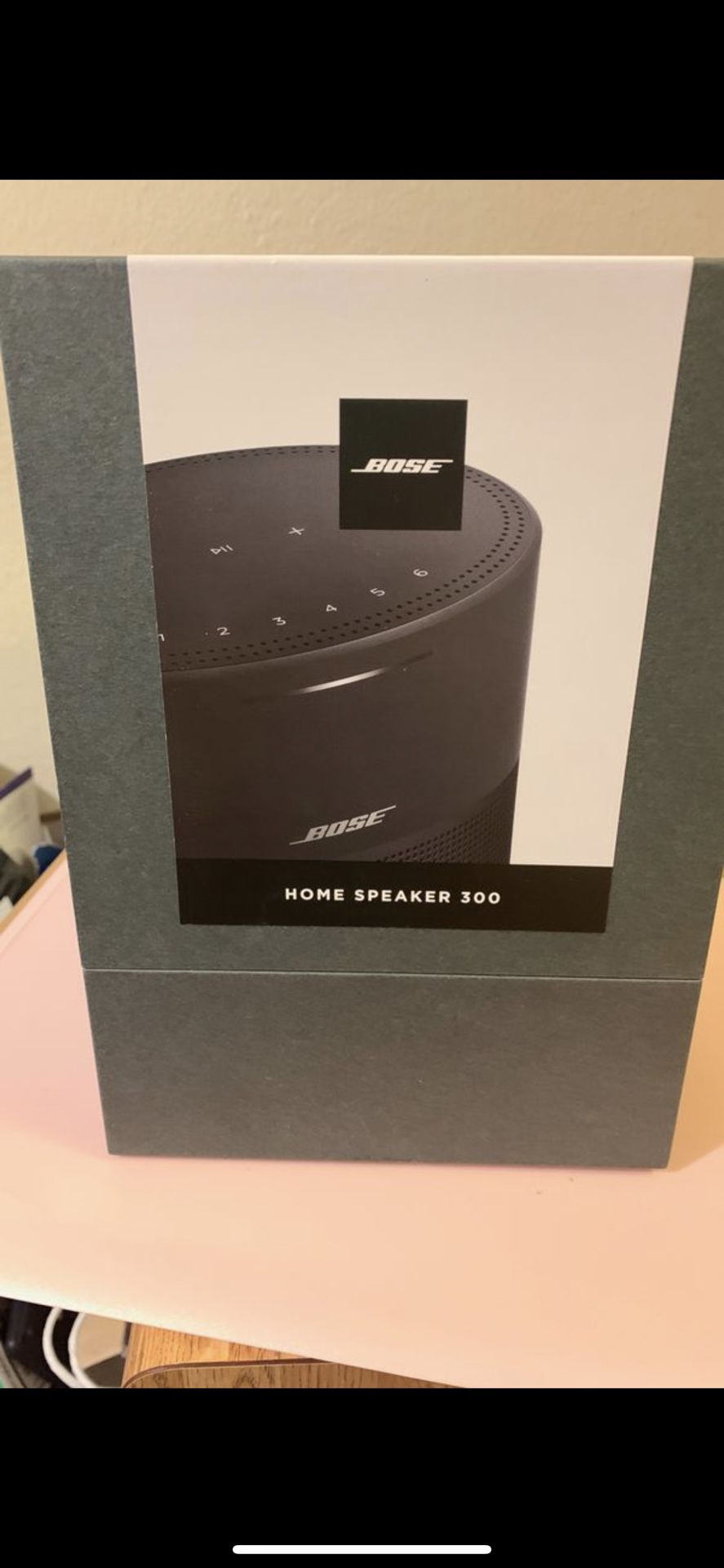 Bose 300 home speaker