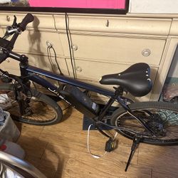 Jaison EB5 Electric bike