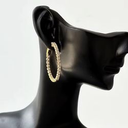 100% S925 Silver 1.8mm Full Moissanite Hoop Earrings