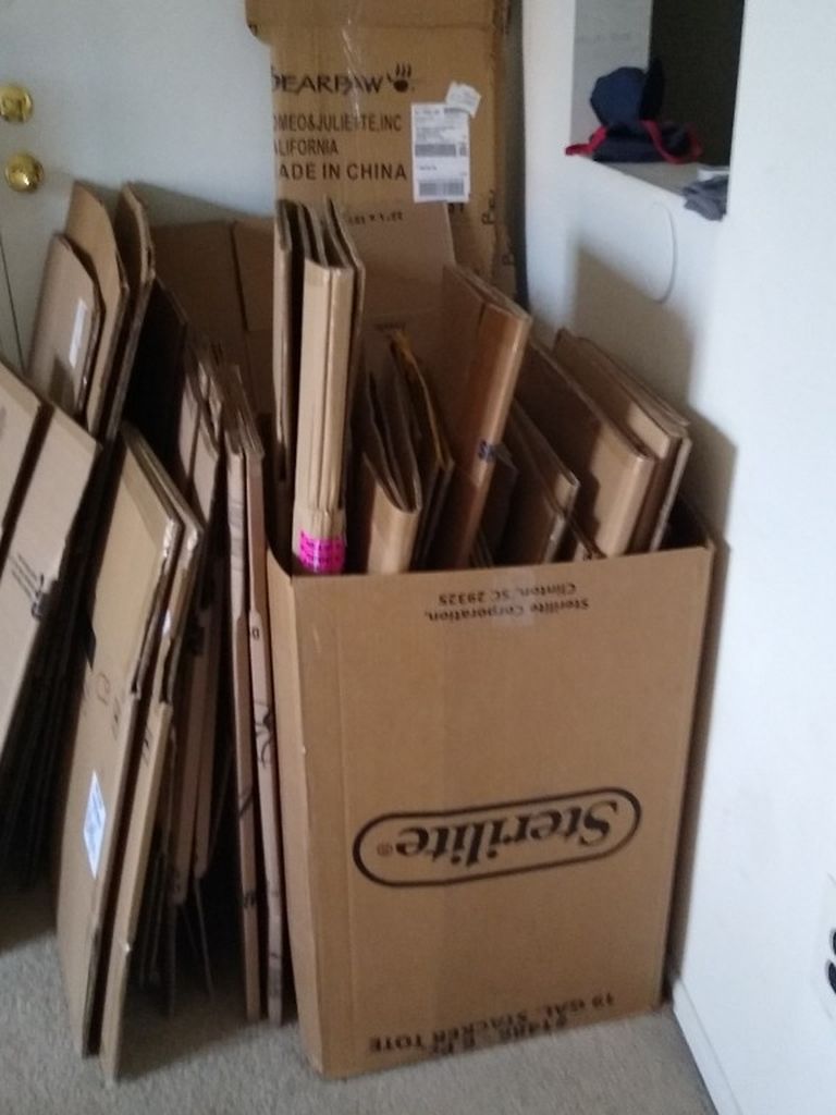 Small Moving Boxes---FREE