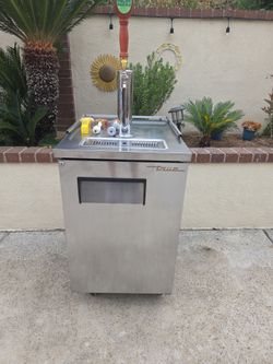 True kegerator tdd 1 s