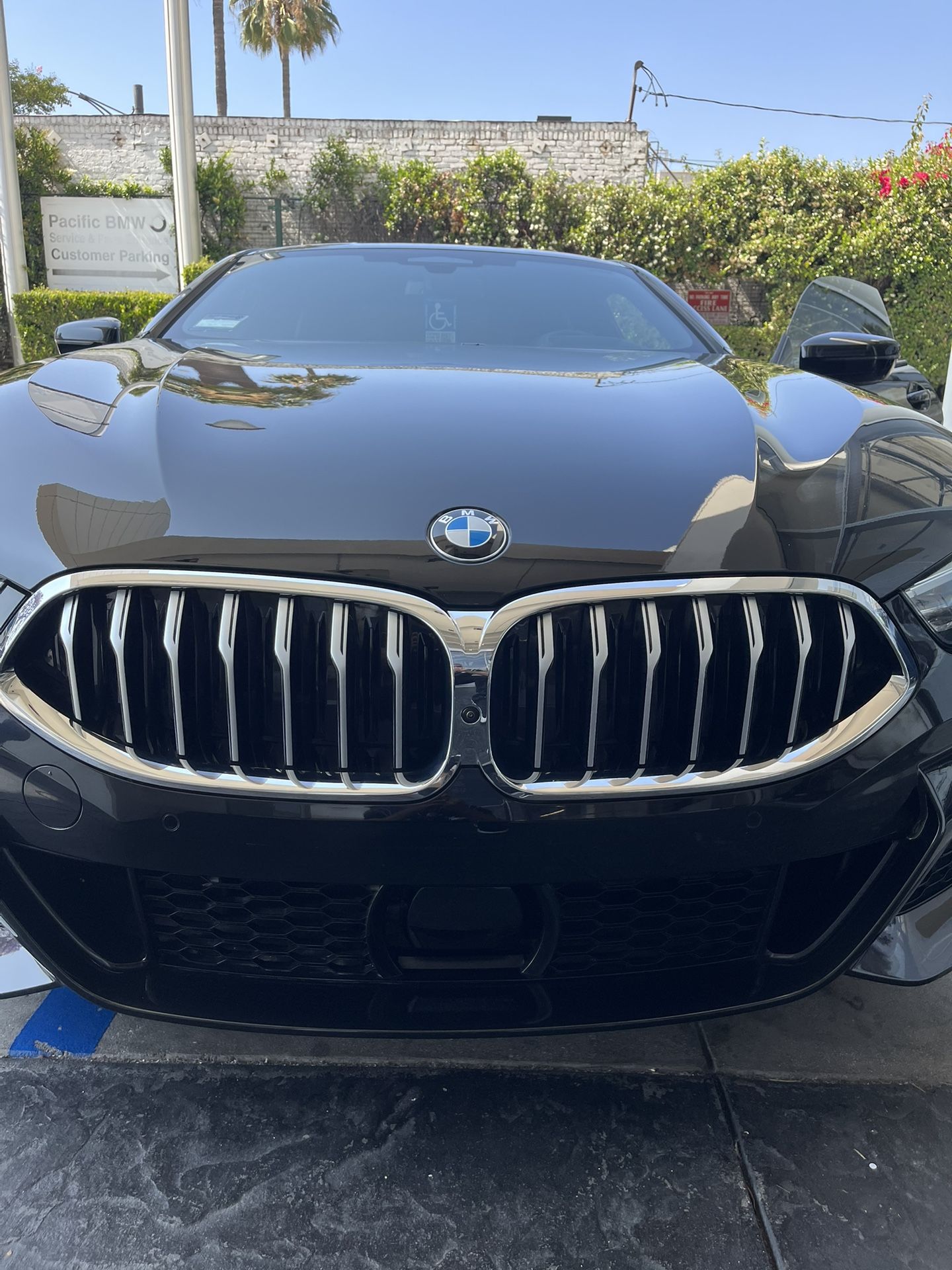 BMW 840i Grille For 2022