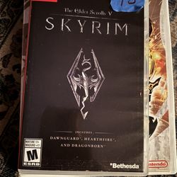 Skyrim Nintendo Switch 