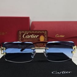 Cartier Sunglasses 