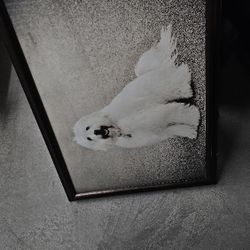 Large Hand Drawing Canvas of a Beautiful Dog