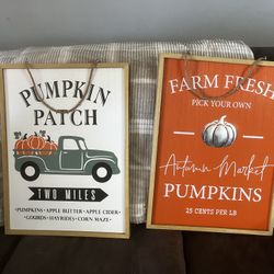 Double Sided Decorative Wall signs 