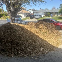 Free Mulch. 