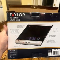 Taylor Food Scale 