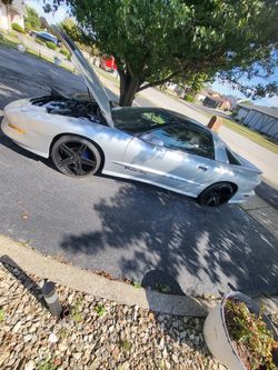 1991 trans am