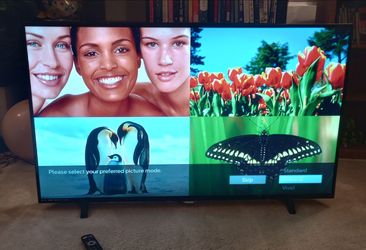 55" Philips 4K Smart TV – Works Perfectly