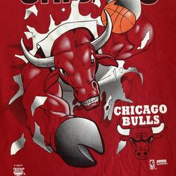 Vintage Chicago Bulls Shirt NBA Nutmeg Red T-Shirt Large 90s Double Sided Jordan