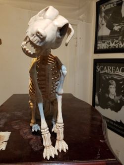 Skelton Dog