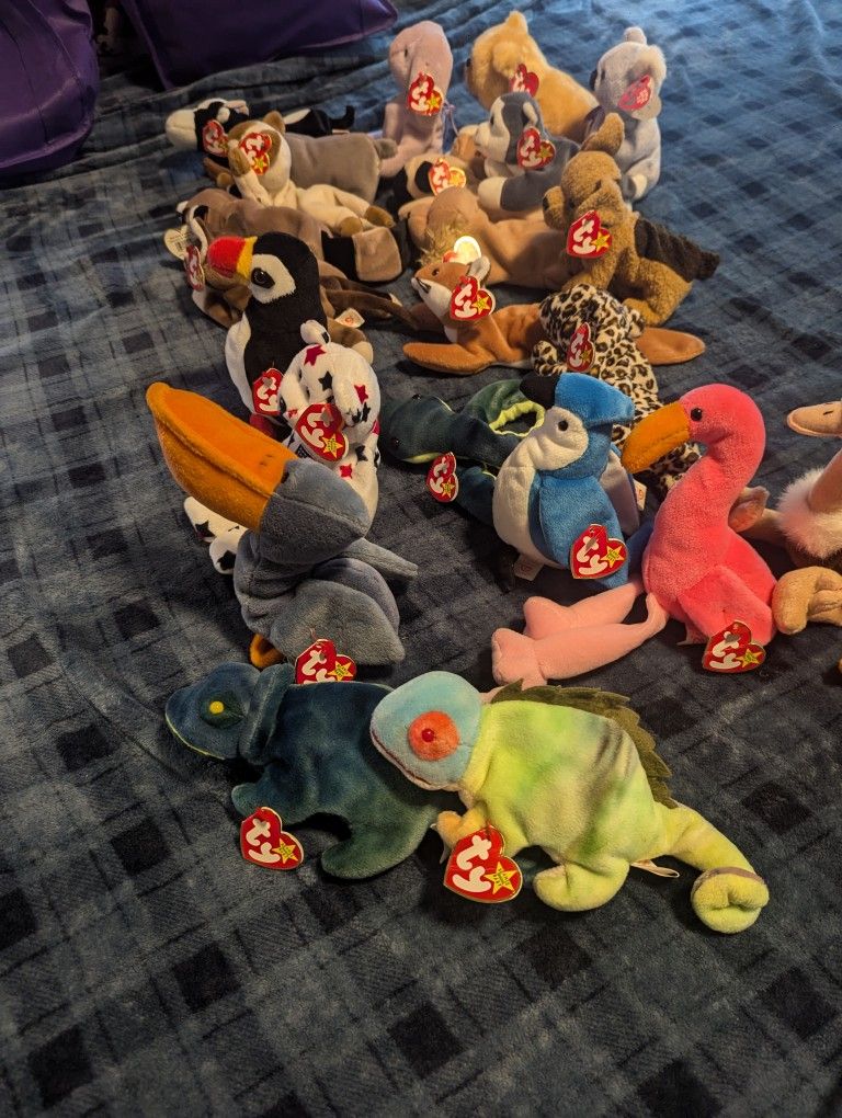 Beanie Babies