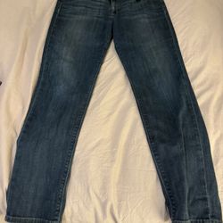 Hudson Jeans - Size 32