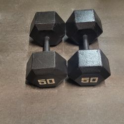 Dumbbells 100 Pounds