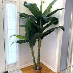 Large Banana Artificial Tree 80”