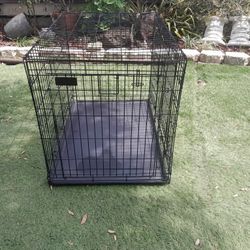 PET KENNEL