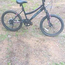  Kobra Mountain Bike Girls. 