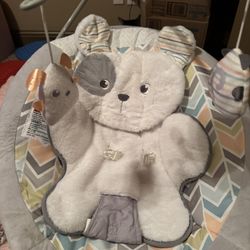 Baby Bouncer