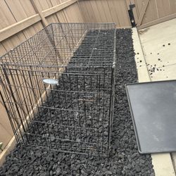Dog Kennel 