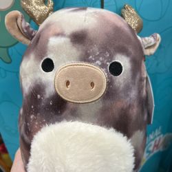 squishmallow 8”