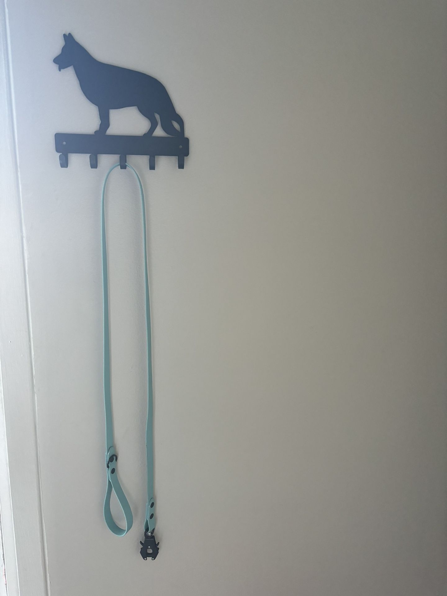 biothane dog leashes
