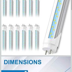 3 Foot LED Florence Light Bulbs (12 Bulbs)