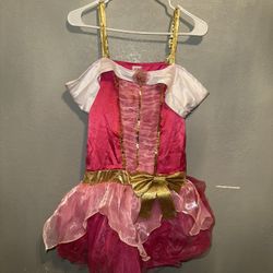 Sleeping Beauty Costume