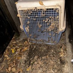 Dog crate