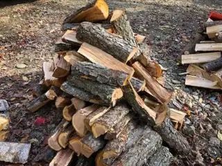 Fresh Split Cherry Firewood (*FREE DELIVERY)