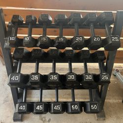 10-50 Dumbbell Set With Stand 