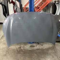 2020 - 2025 Nissan Sentra Hood 
