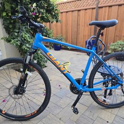 Giant bicycle Roam 2 Disc blue Size Large